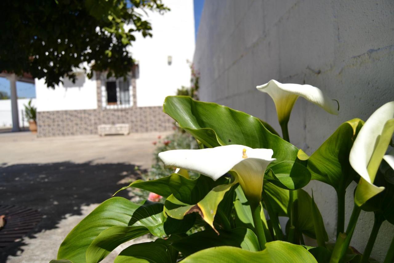 La Orquidea De Cordoba Villa Eksteriør billede