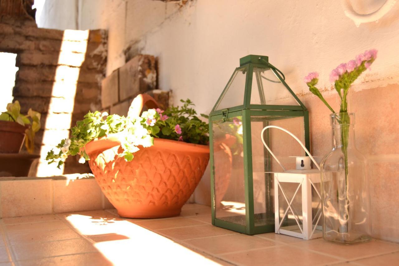 La Orquidea De Cordoba Villa Eksteriør billede